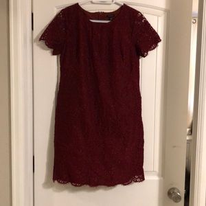 Ann Taylor Lace Dress